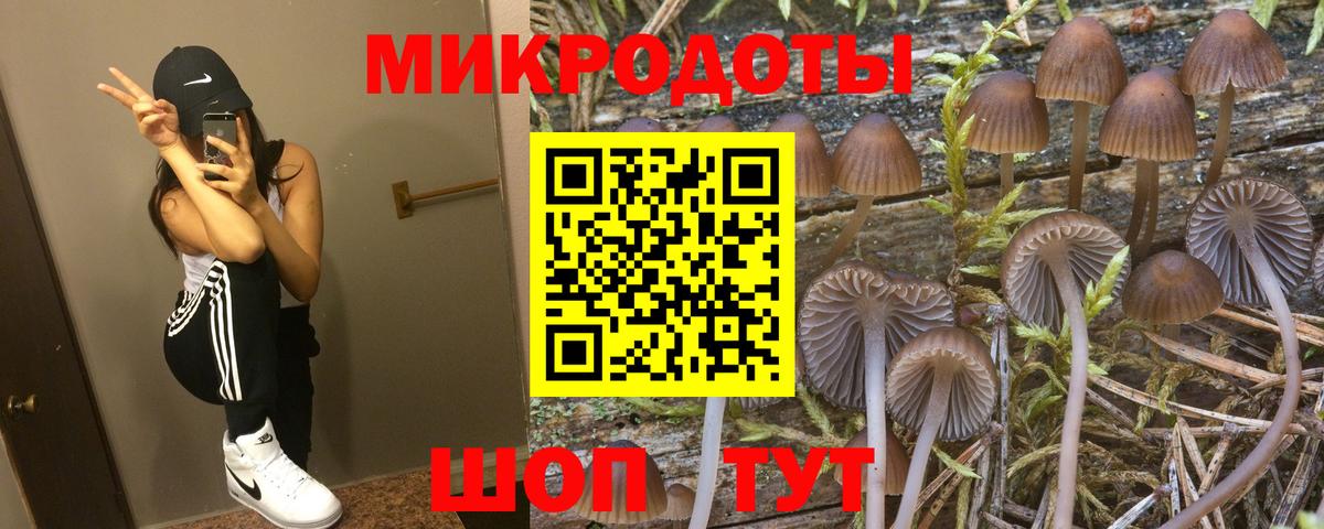 Псилоцибиновые грибы MAGIC MUSHROOMS Великий Устюг