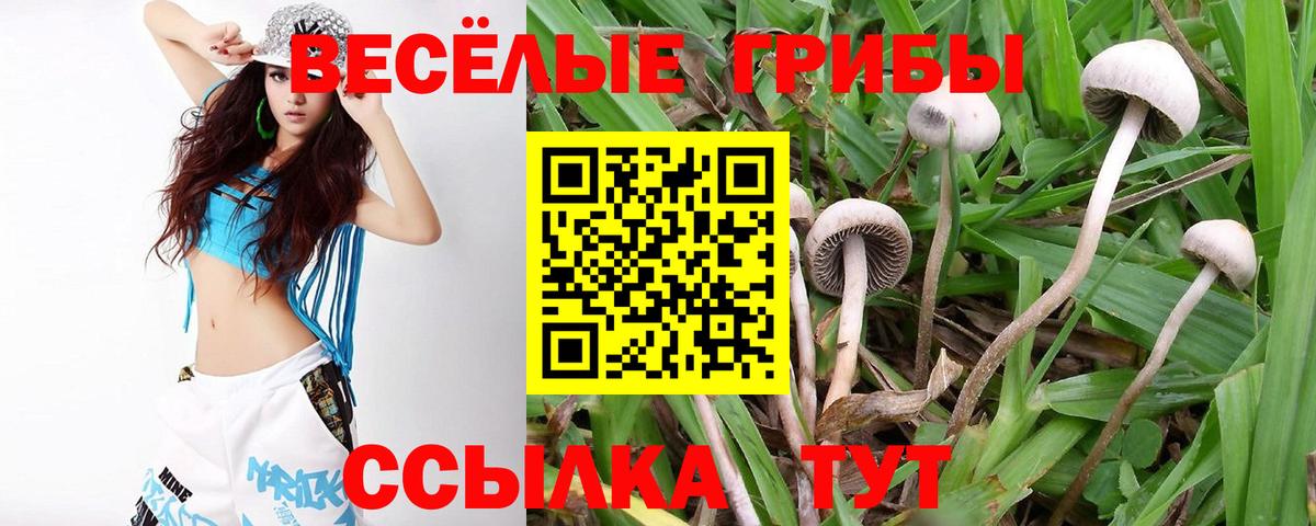 Псилоцибиновые грибы прущие грибы  Вход с VPN  Псилоцибиновые грибы Magic Shrooms  Великий Устюг 